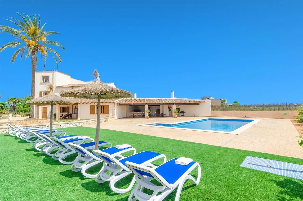 Finca Sant Blai Nou contacts