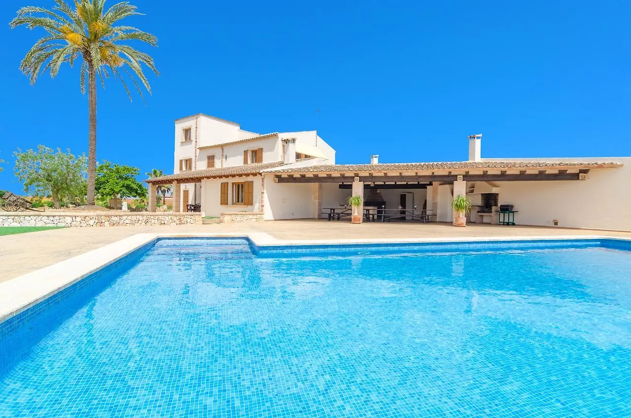 Finca Sant Blai Nou Campos